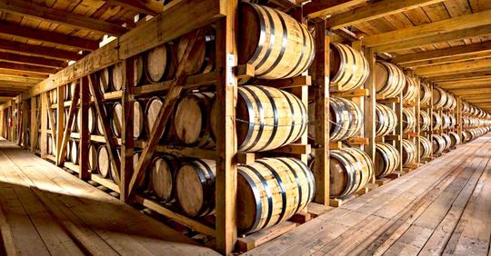 Understand the Concept of Cask Whiskey Investment with Whiskey and Wealth Club
