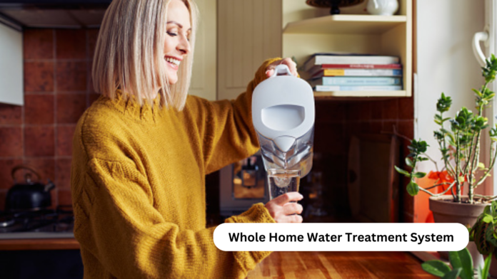 whole house water filters online
