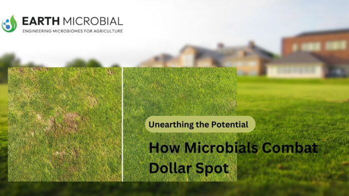 microbials to treat dollar spot